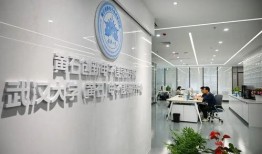 黄石电子厂爆料最新消息,揭秘生产一线的变革与挑战